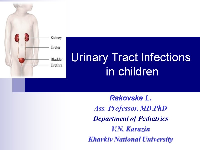 Urinary Tract Infections  in children Rakovska L. Ass. Professor, MD,PhD Department of Pediatrics